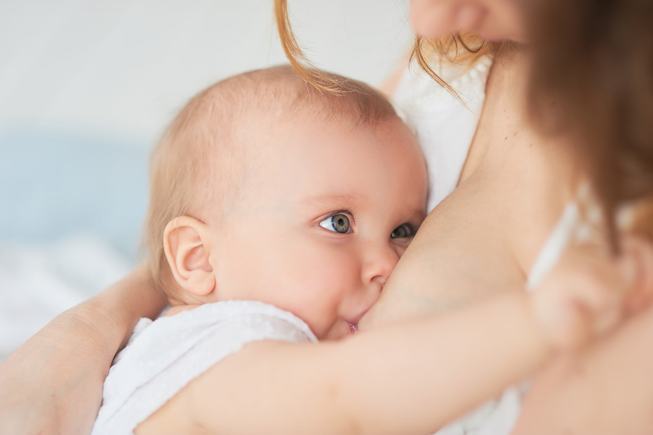 moringa breastfeeding