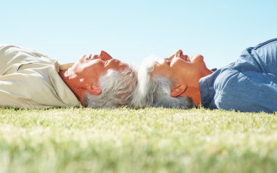 Alimenti chiave per aumentare la memoria e la concentrazione negli anziani: focus su Moringa e Guayusa